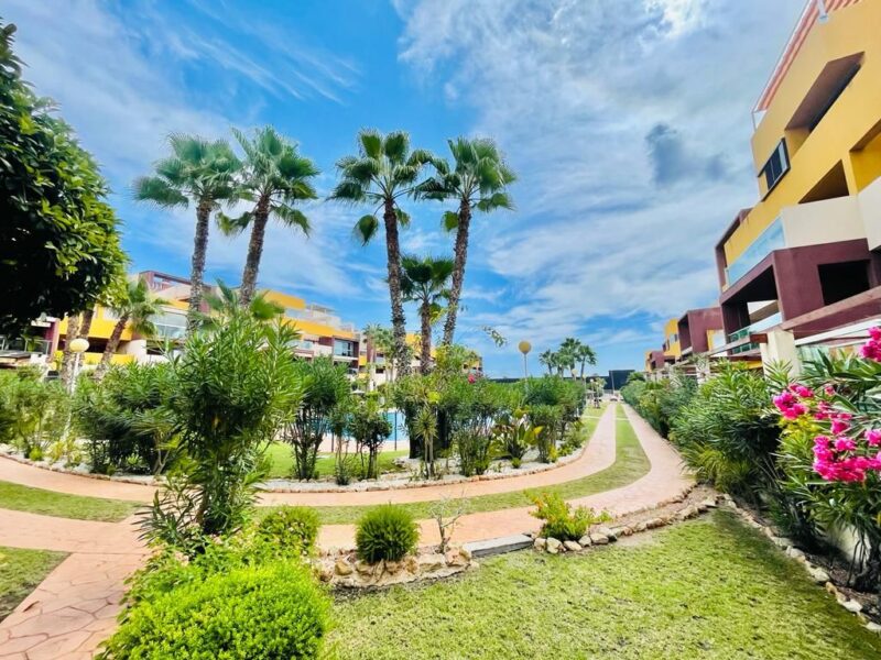 Apartament na Playa Flamenca