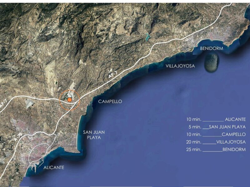 Wille w Alicante